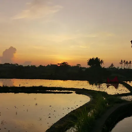 Villa Paya - Ubud Buitenkant foto