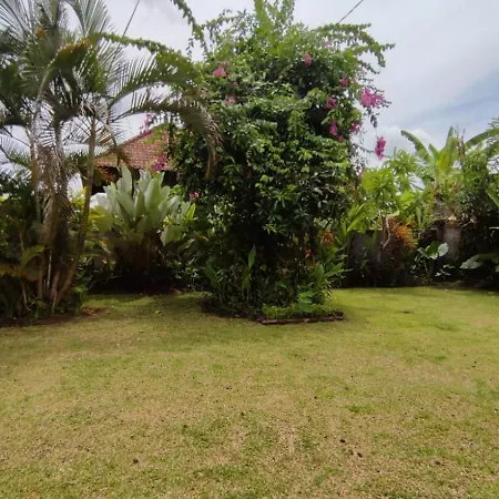 Villa Paya - Ubud Buitenkant foto