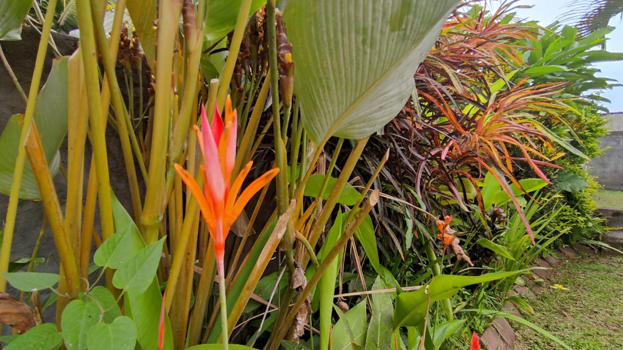 छुट्टी का घर Paya - Ubud (Bali)